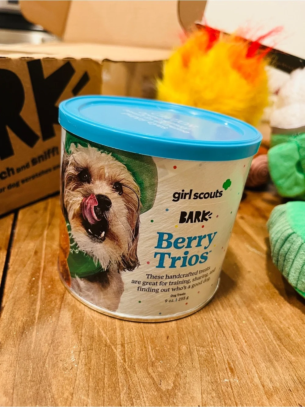 NWT BarkBox x Girl Scouts Campfire Tails Set